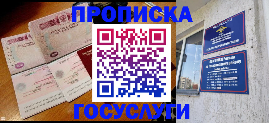 где прописаться в Алексине